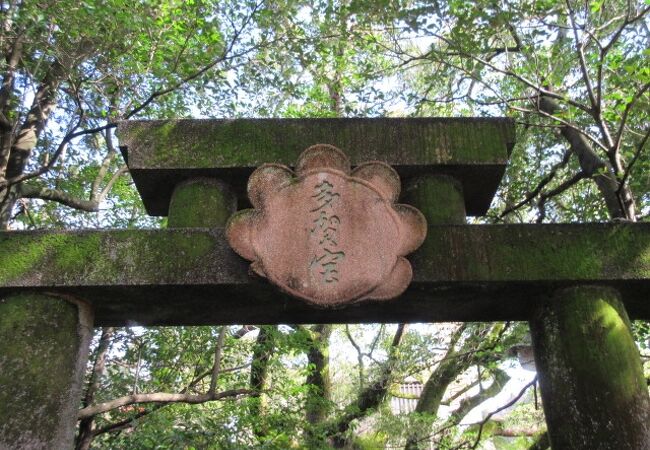 凸凹神堂(多賀神社)