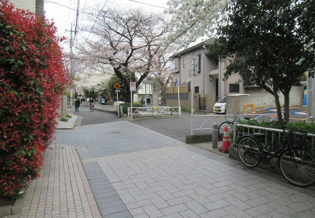 九品仏川を暗渠化して造られた緑道