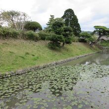 安芸城跡