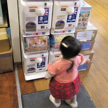 シルバニアでガチャガチャをやったり･･･