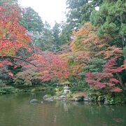 成田山公園　紅葉がきれい