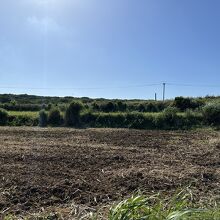 百之台の西の段丘