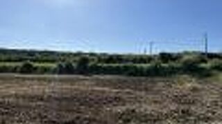 国指定史跡の城久遺跡群