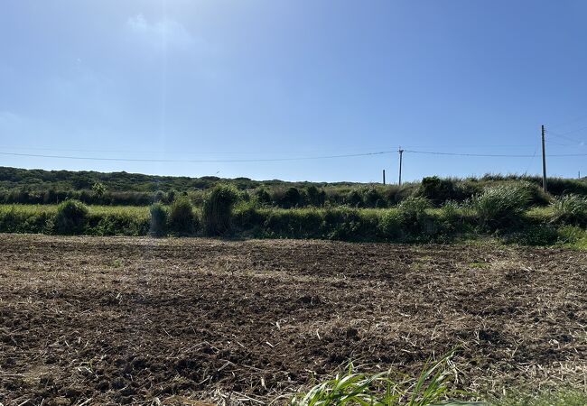 国指定史跡の城久遺跡群