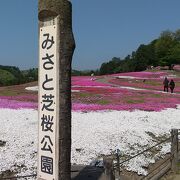 偶然見つけたところだけど行って良かったです