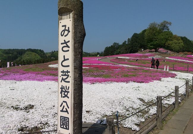 偶然見つけたところだけど行って良かったです