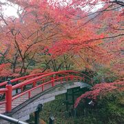 紅葉真っ盛りの河鹿橋