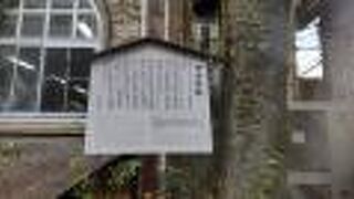 シェミーとは。