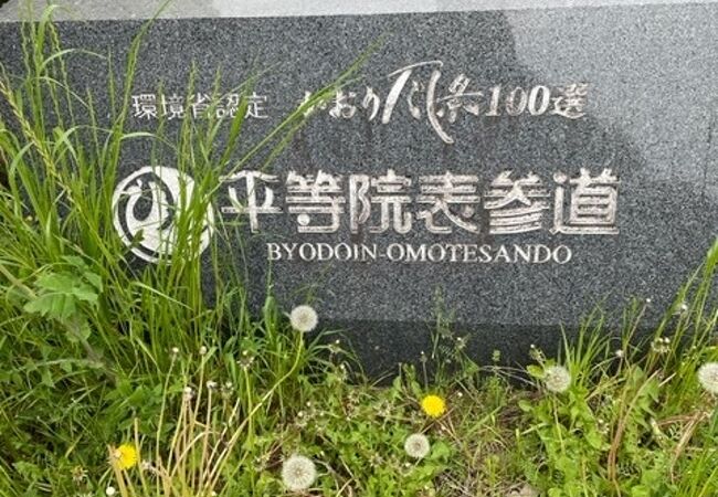 世界遺産平等院に続く道です