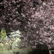 上田城千本桜まつり