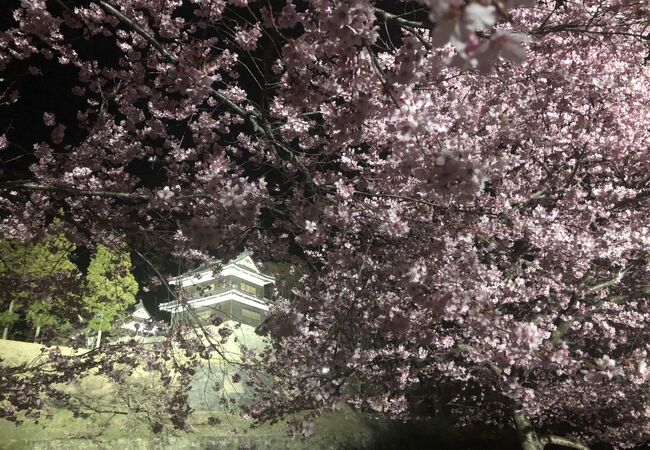 上田城千本桜まつり