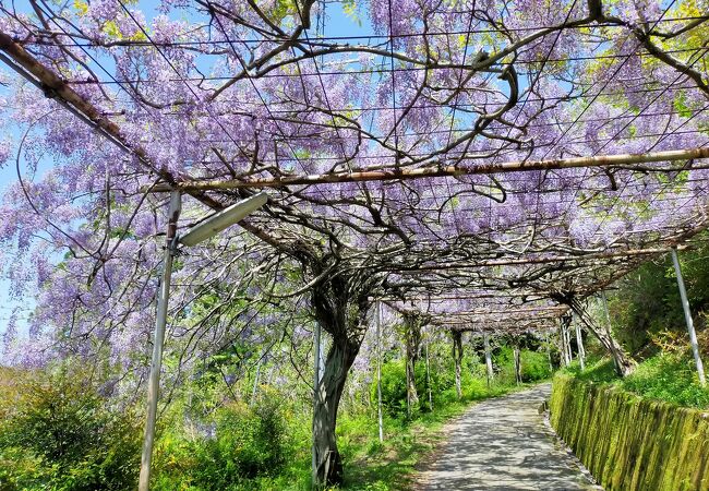 展望台への階段は下りのみが正解