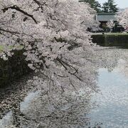 春にはお堀の桜の花が風情を添えます