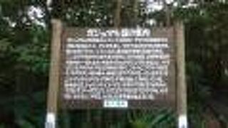 波の音を聞きながら散策できます