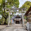 こいのぼりの旗