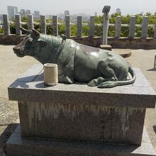 太宰府天満宮に来たのかと思うくらいの臥牛像もありました。