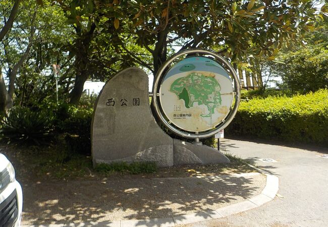 福岡市の桜の名所、西公園はすっかりきれいな新緑になっていました。
