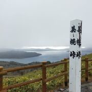 大パノラマ