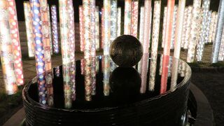 夜はホントに美しい