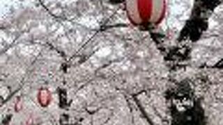 僕が子供の頃乗った観覧車がまだある！