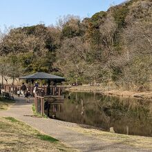 中央付近にある池では魚が釣れます。