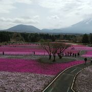 富士山とのコラボが圧巻