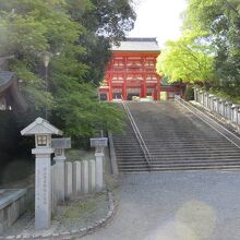 近江神宮拝殿の手前にある手水舎と神門です。