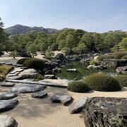 日本庭園が素敵な足立美術館