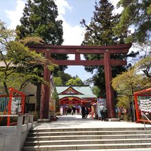 護国神社の鳥居と拝殿。