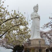 船岡城址公園の山頂に建つ観音様