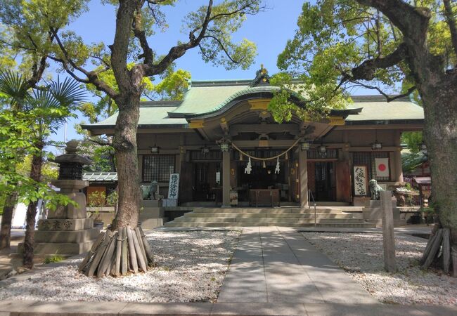 清々しい感じの神社です。