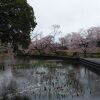 間々田八幡公園