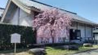 元興寺の宝輪館入り口正面で五重小塔を拝観しました!!