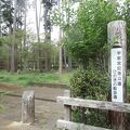 宇都宮記念公園 ひのきの散歩道