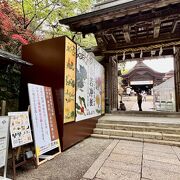 若冲の「百花図」や円山応挙の障壁画が並ぶ金刀毘羅宮の重要文化財表書院