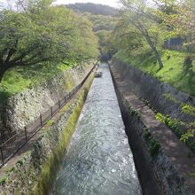 琵琶湖第一疎水の琵琶湖川ゲート付近から上流方向を見ます。