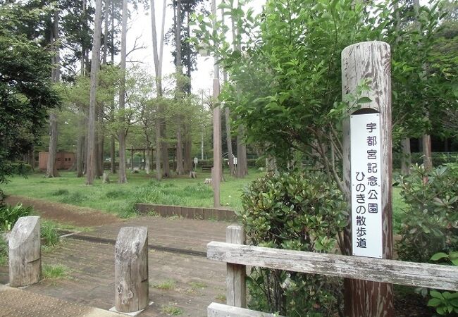 ひのき林の中にウッドチップの遊歩道