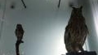 国立台湾博物館 土銀展示館