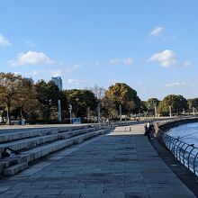 横浜みなとみらい地区の突端で、横浜港に面した公園です。