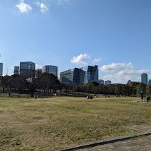 パシフィコ横浜（展示場）の屋外エリアに緑地が広がっています。
