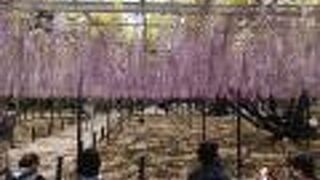 まずまずのタイミングでした