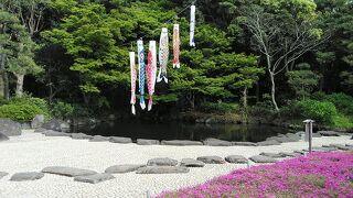 今の時期は新緑が綺麗な海浜幕張にある日本庭園