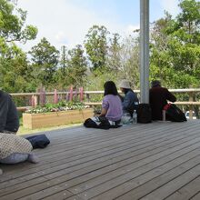 こんこん山でピクニック♪