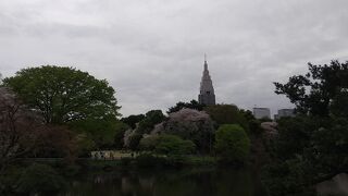 花見の定番スポット