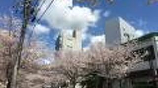 長久手古戦場 (古戦場公園 ・ 色金山歴史公園)