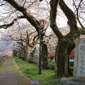 松川磯部堤防遊歩道