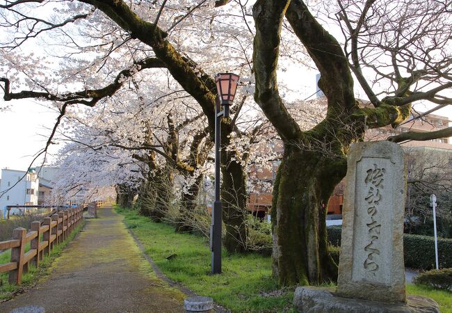 松川磯部堤防遊歩道