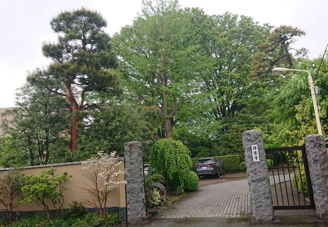 福岡の黒田家にまつわるお寺だそうです。