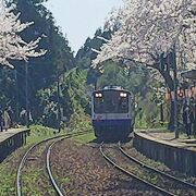 さくらとローカル列車　能登さくら駅