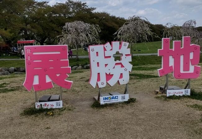 北上展勝地さくらまつり